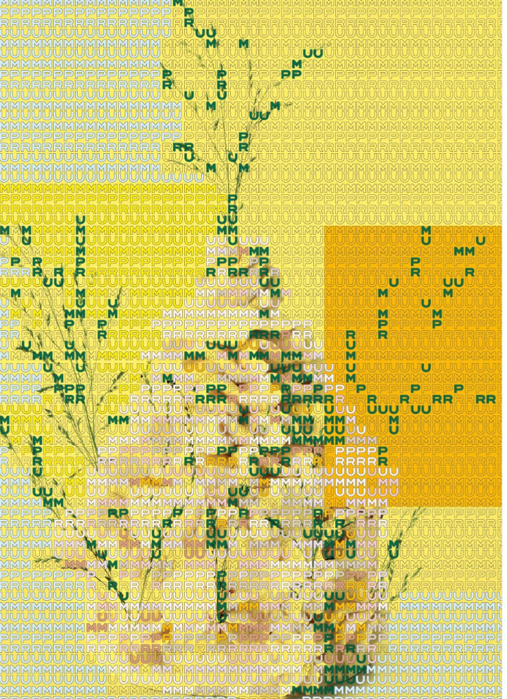 6839226575550ecbe6c9c31d Screenshot 2025 05 30 at 5.13.20
